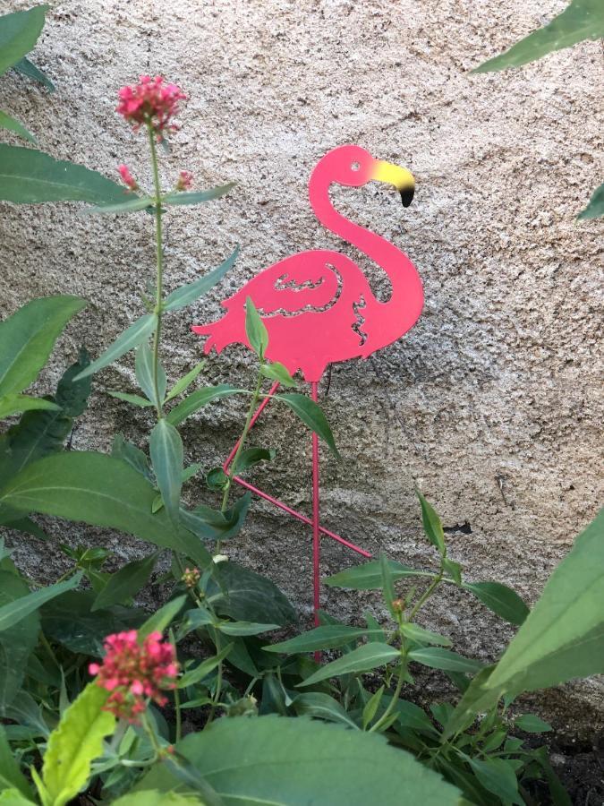 דירות Corné Les Pieds Dans L'Eau Aloha מראה חיצוני תמונה